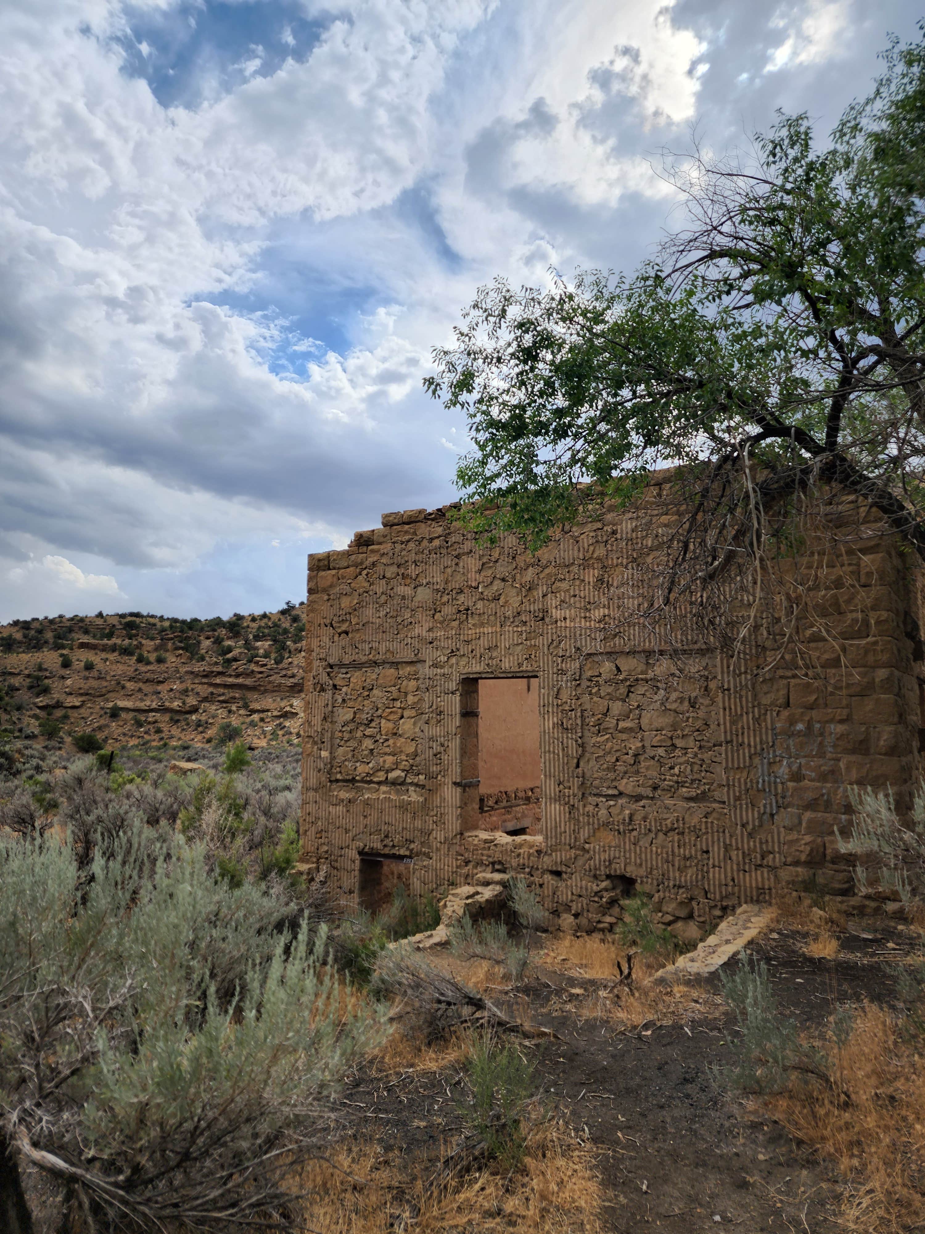 Camper-submitted photo at Sego Canyon Campsite near Mack, CO