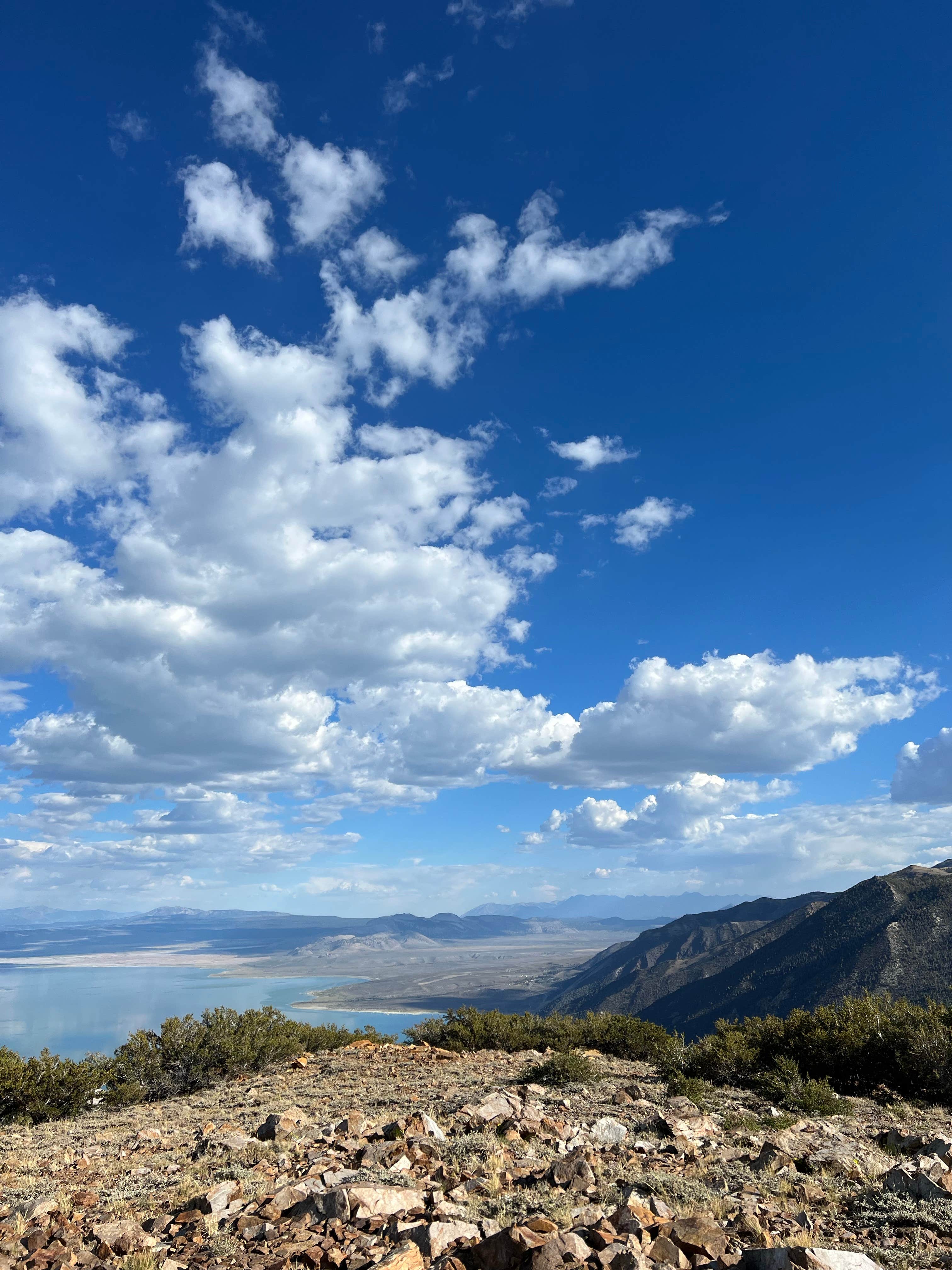 Tim W.'s photo of a dispersed camping area at Virginia Lake Rd. Boondocking near Mather, CA