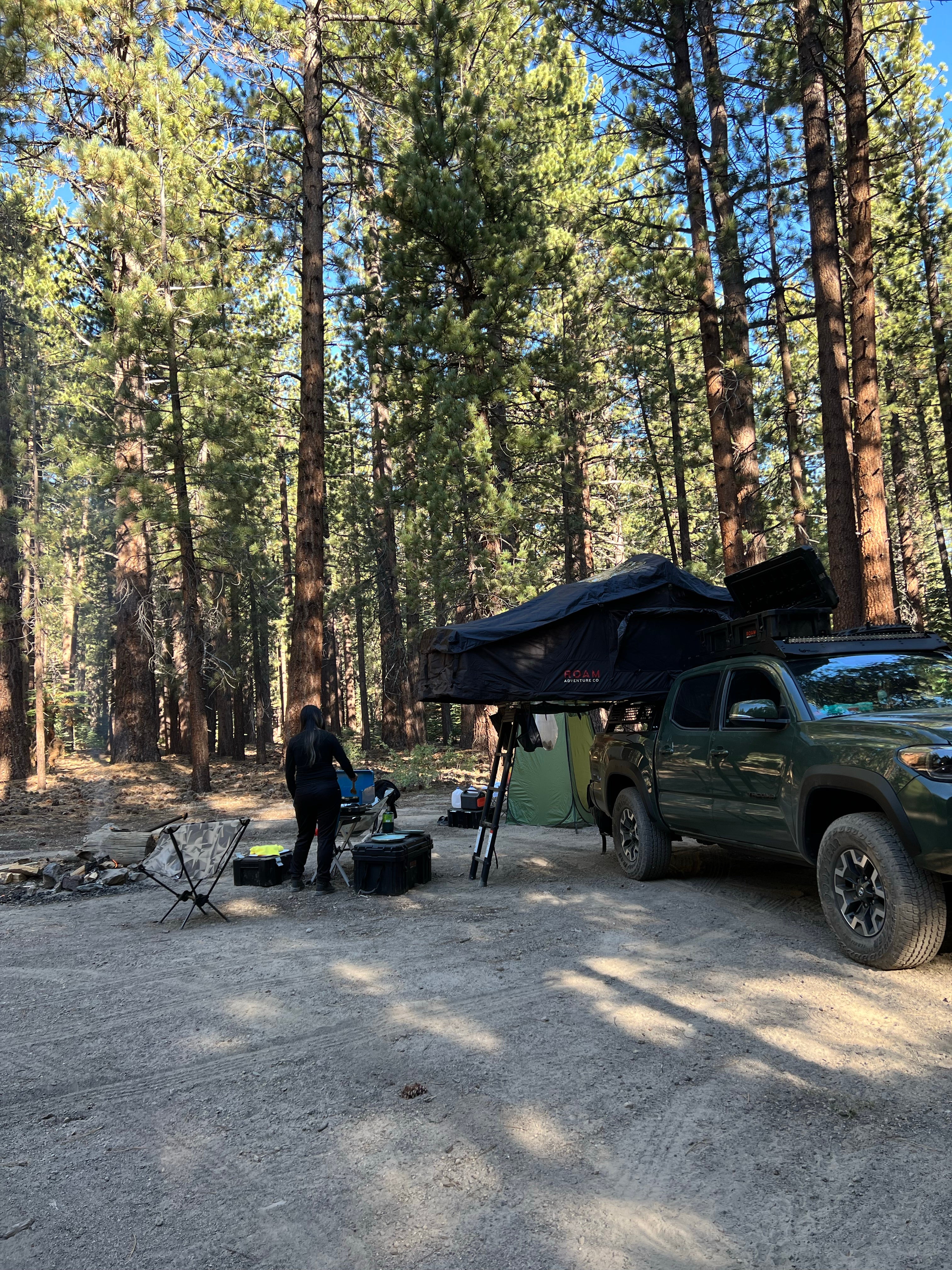 Camper submitted image from Scenic Loop Dispersed Camping - Eastside - 1