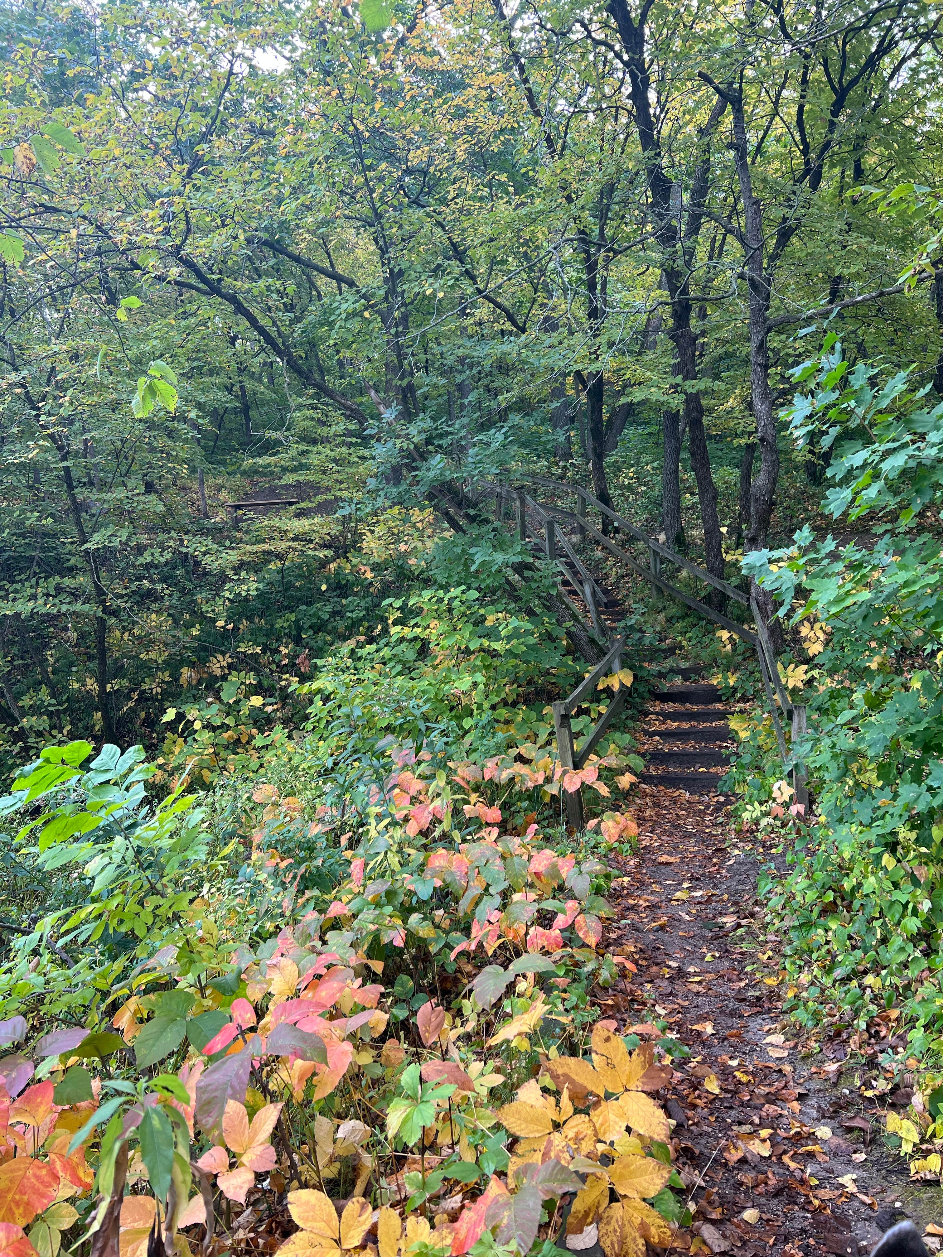 Camper-submitted photo at Sica Hollow State Park Campground near Lake City, SD