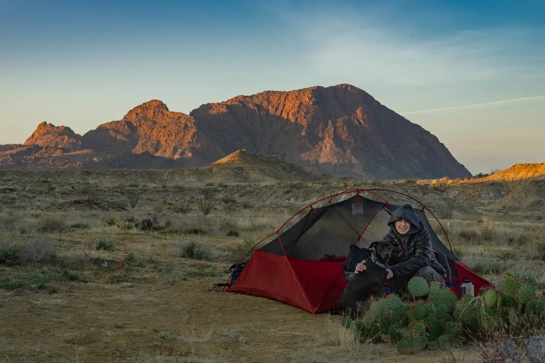 Camping near BJs RV Park: Coyote Crossing, Terlingua, Texas
