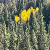 Review photo of Sylvan Lake Campground — Sylvan Lake State Park by Betzy G., October 10, 2022
