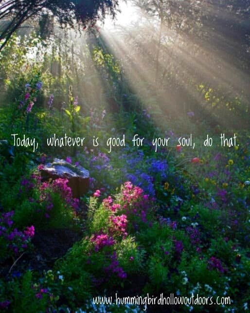 Camper-submitted photo at Hummingbird Hollow Outdoors Farm Sanctuary near Stanton, MO