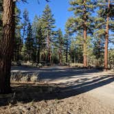 Review photo of Owens River Road Dispersed by Laura M., October 10, 2022