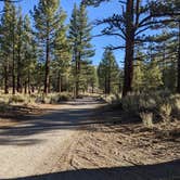 Review photo of Owens River Road Dispersed by Laura M., October 10, 2022