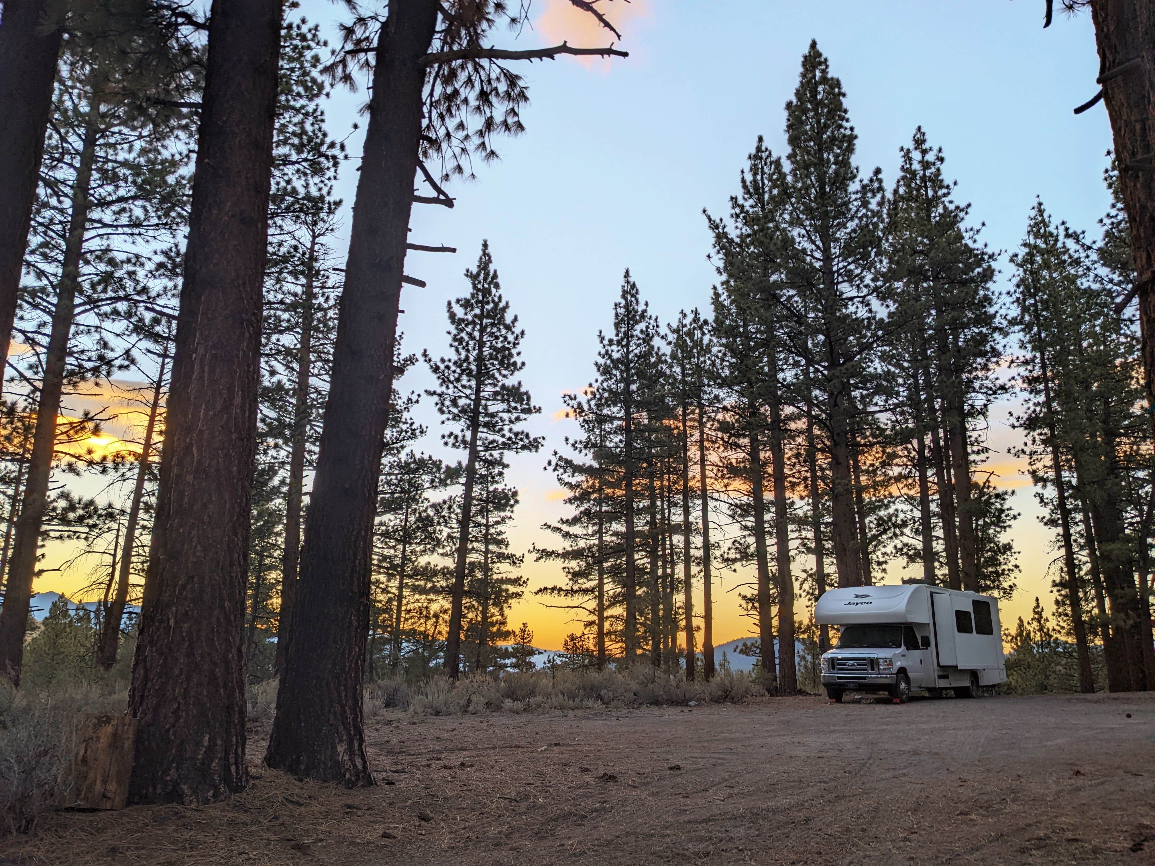Camper-submitted photo at Owens River Road Dispersed near Inyo National Forest