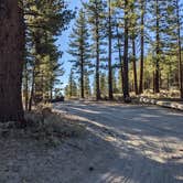 Review photo of Owens River Road Dispersed by Laura M., October 10, 2022