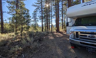 Camping near Sawmill cut off: Owens River Road Dispersed, Inyo National Forest, California