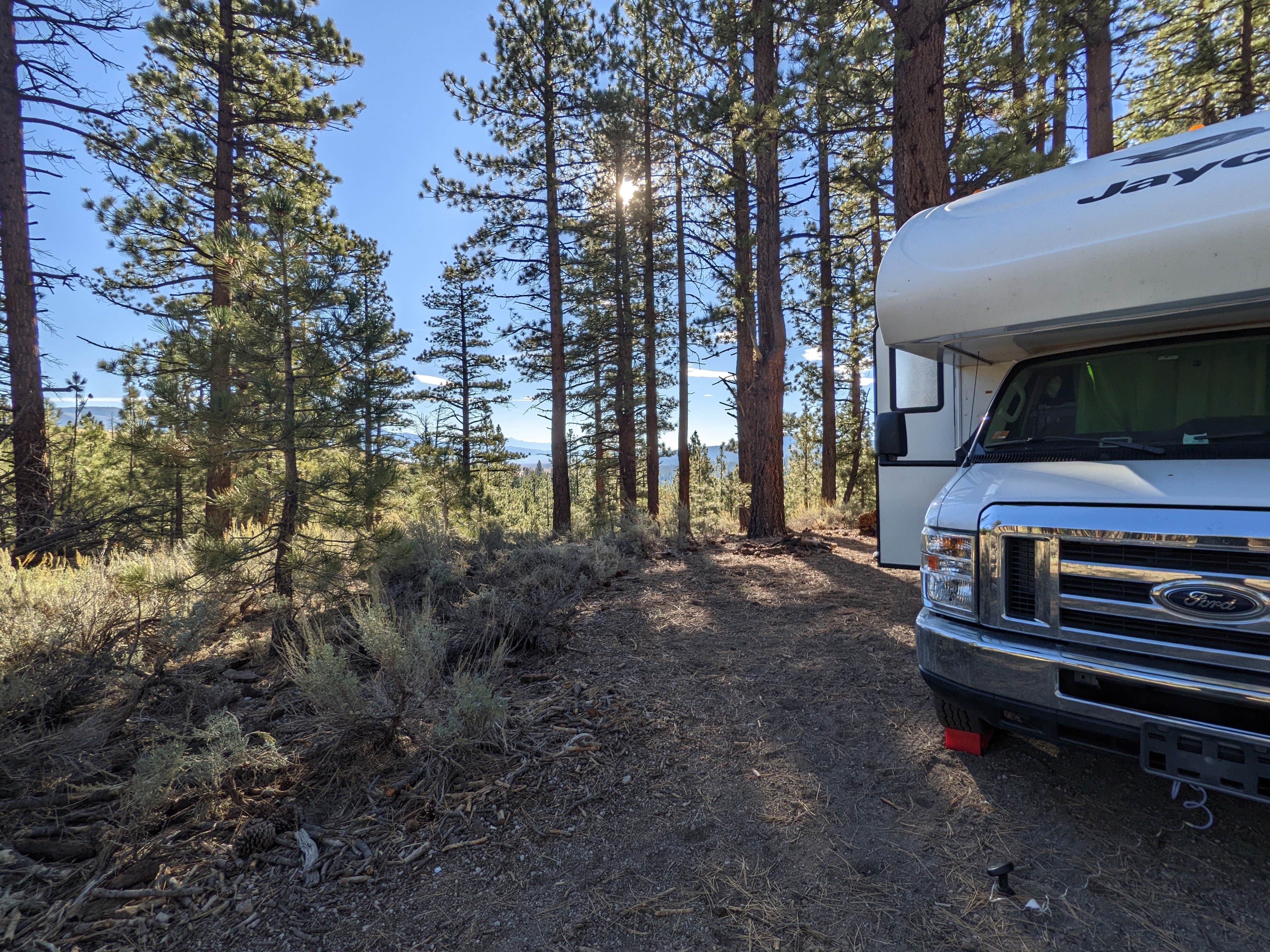 Camper submitted image from Owens River Road Dispersed - 1