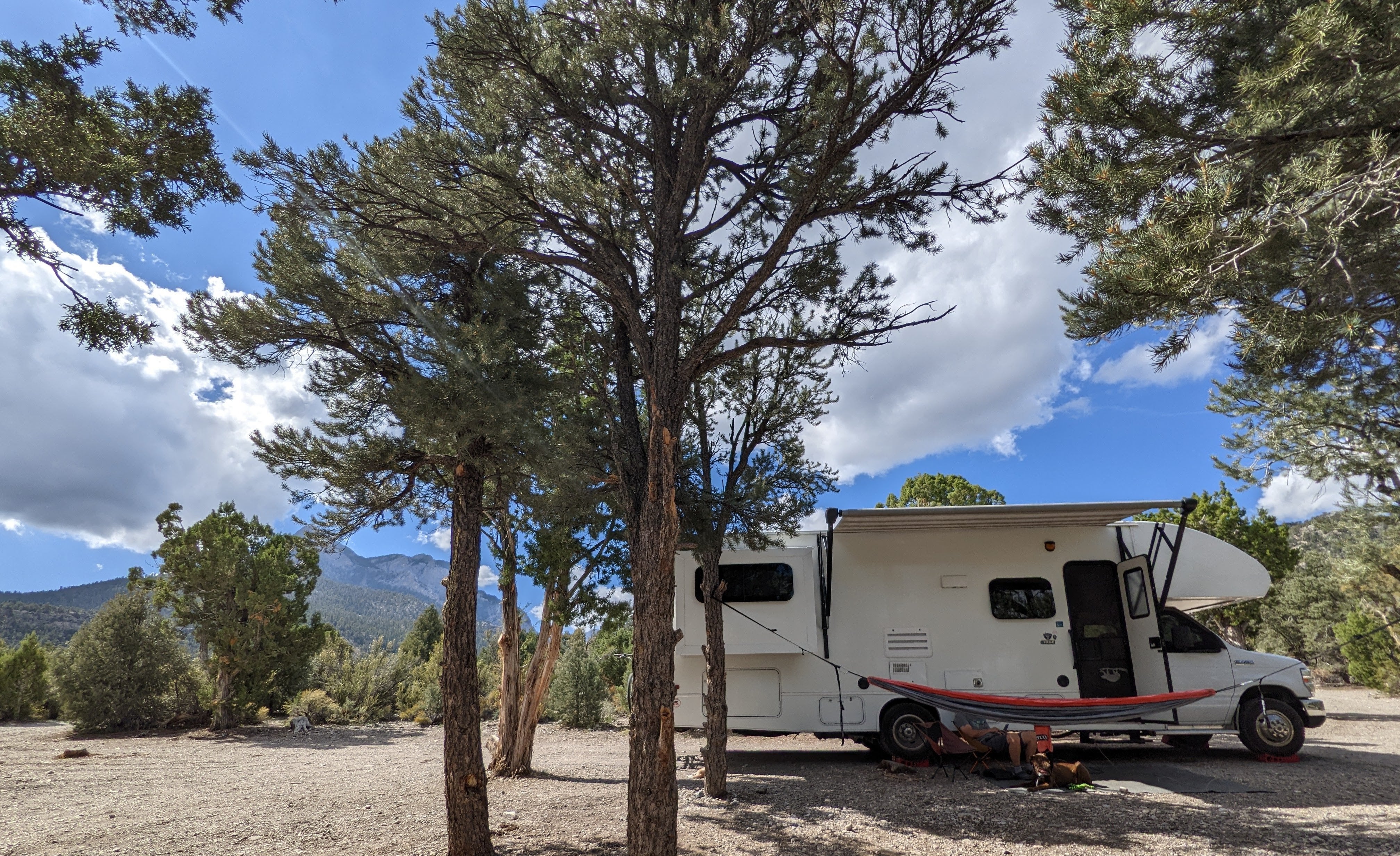 Camper submitted image from Spring Mountains Dispersed - 1