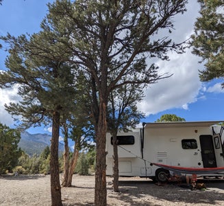 Camper-submitted photo from Spring Mountains Dispersed