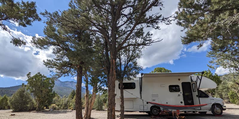 Camper submitted image from Spring Mountains Dispersed