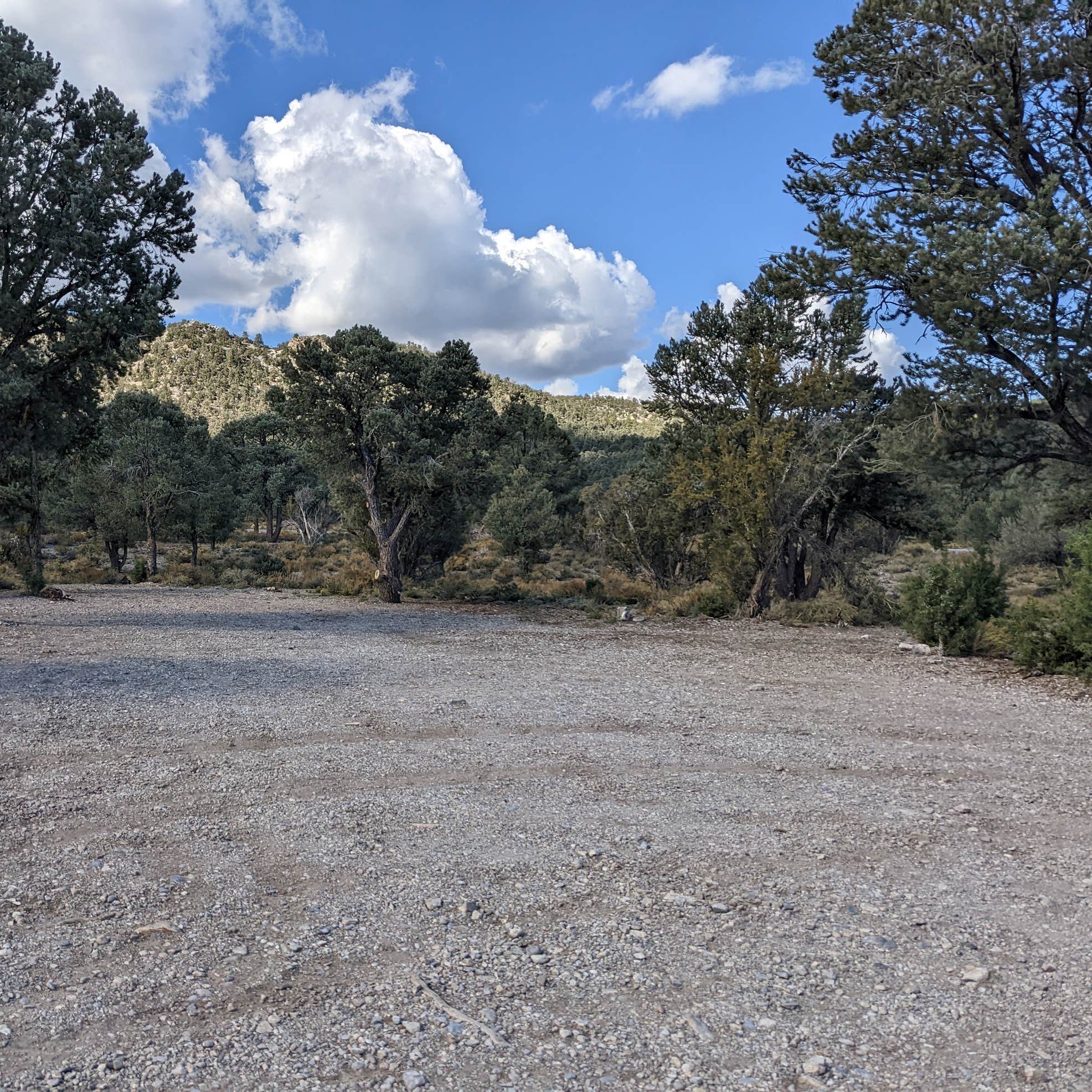 spring-mountains-dispersed-camping-the-dyrt