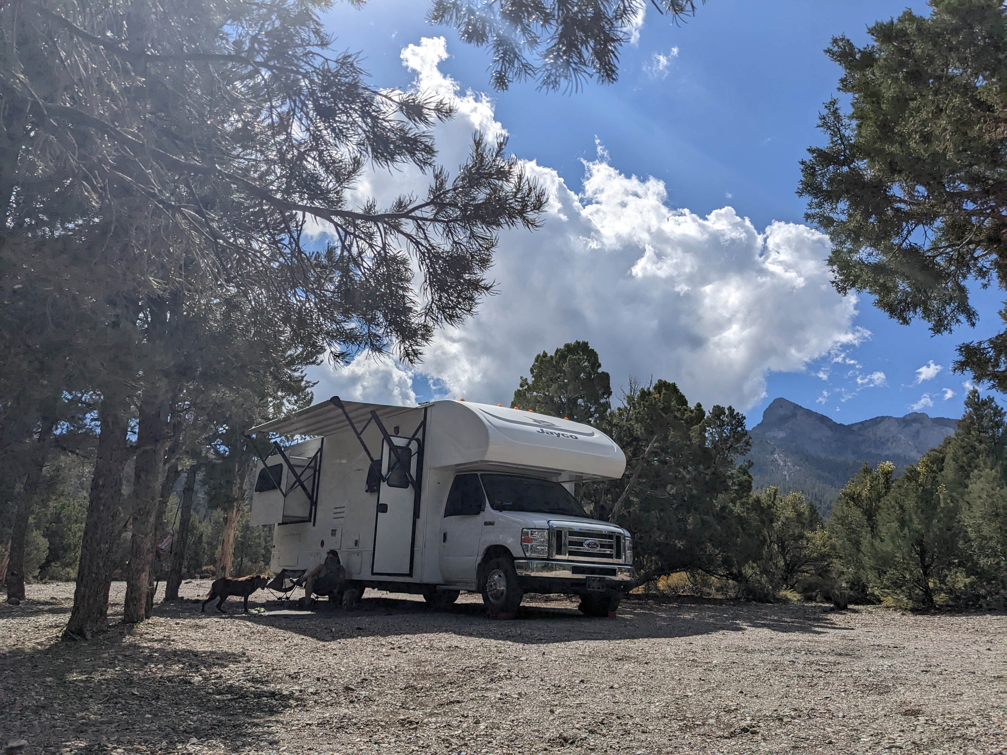 Camper-submitted photo at Spring Mountains Dispersed near Mount Charleston, NV
