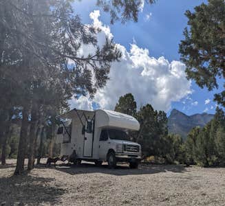Camper-submitted photo from Spring Mountains Dispersed