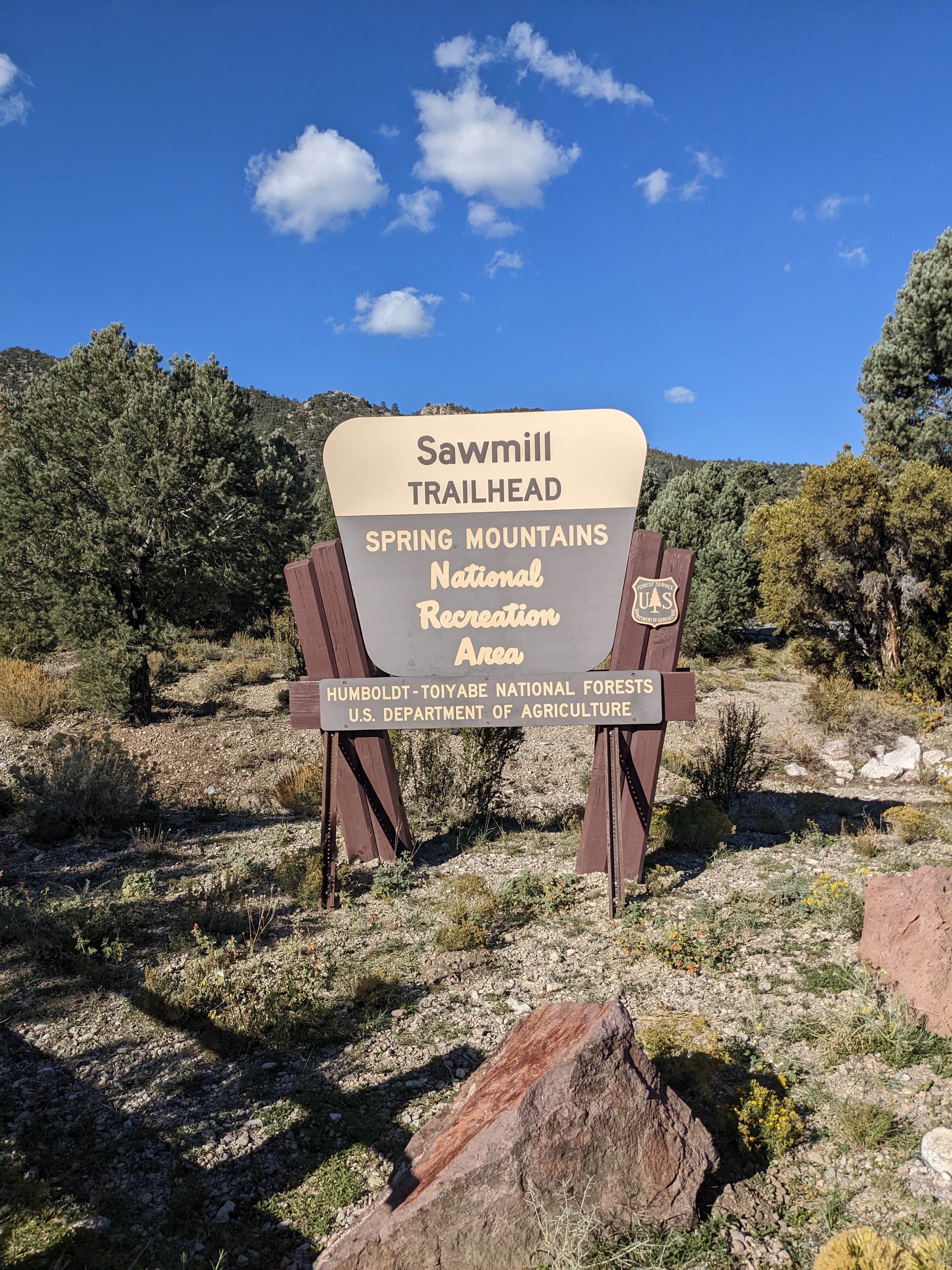 Camper-submitted photo at Spring Mountains Dispersed near Mount Charleston, NV