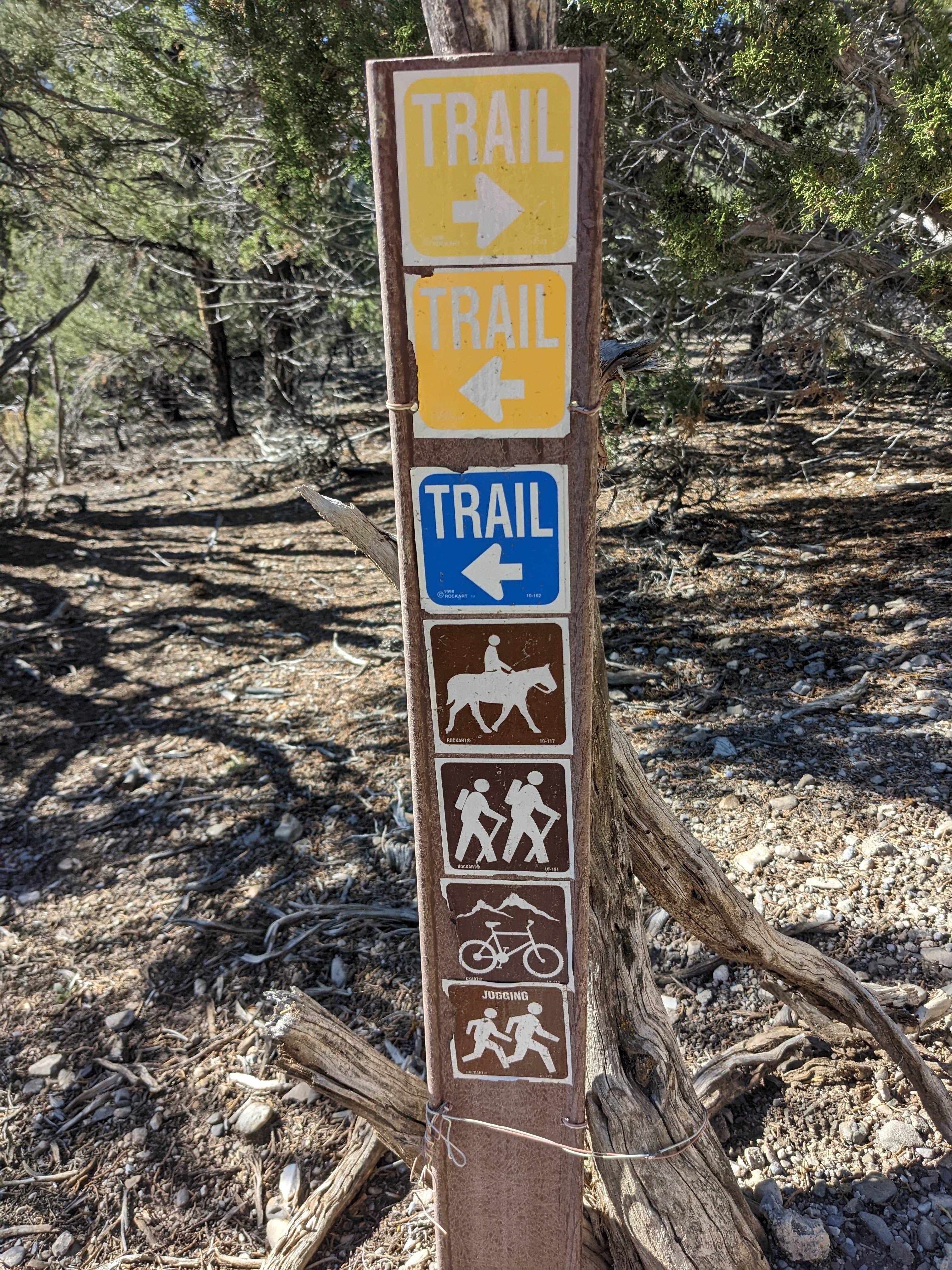 Camper-submitted photo at Spring Mountains Dispersed near Mount Charleston, NV