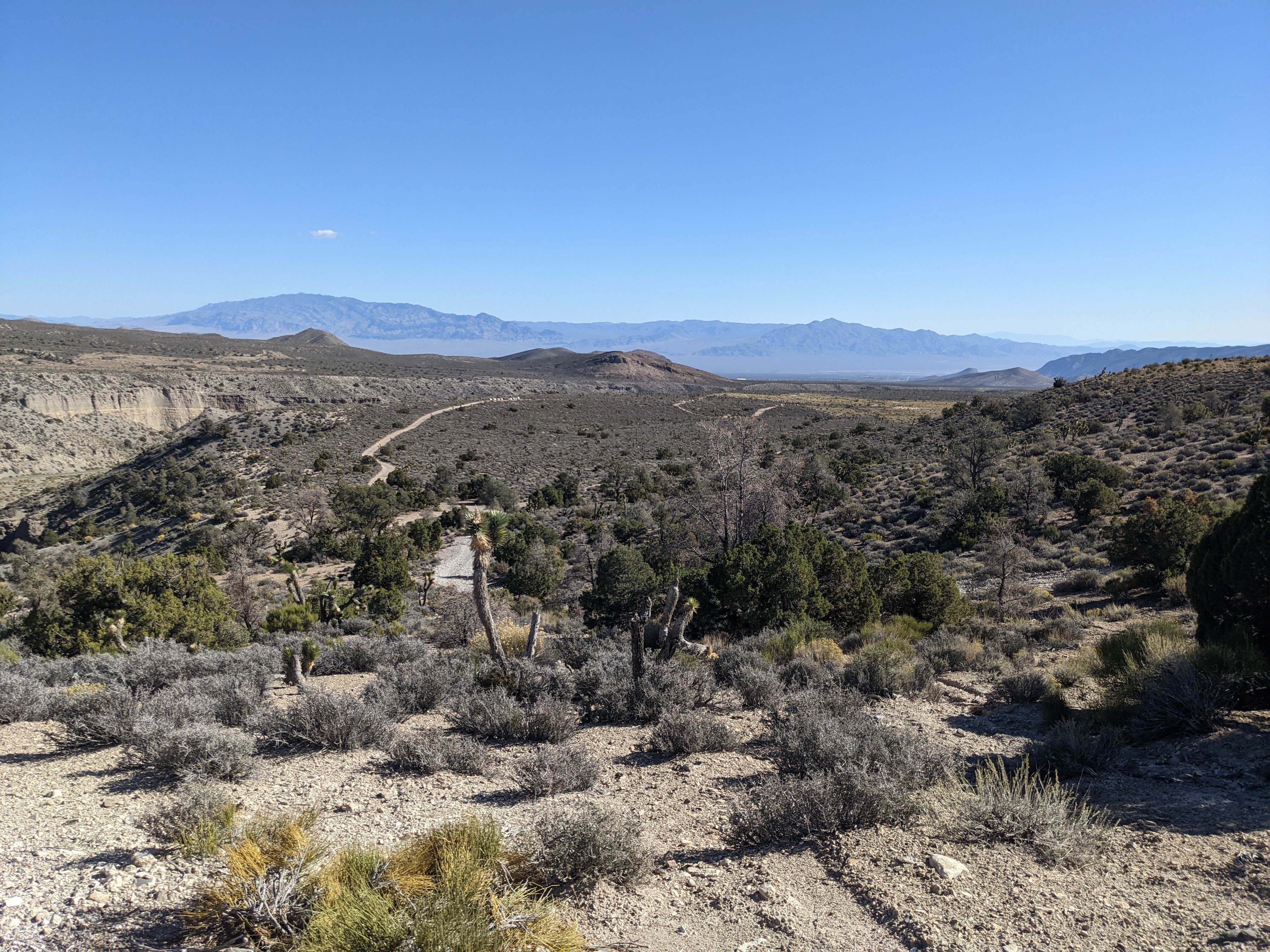 Camper-submitted photo at Harris Springs / Spring Mountains Dispersed near Las Vegas, NV