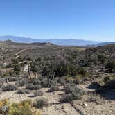 Review photo of Harris Springs / Spring Mountains Dispersed by Laura M., October 11, 2022