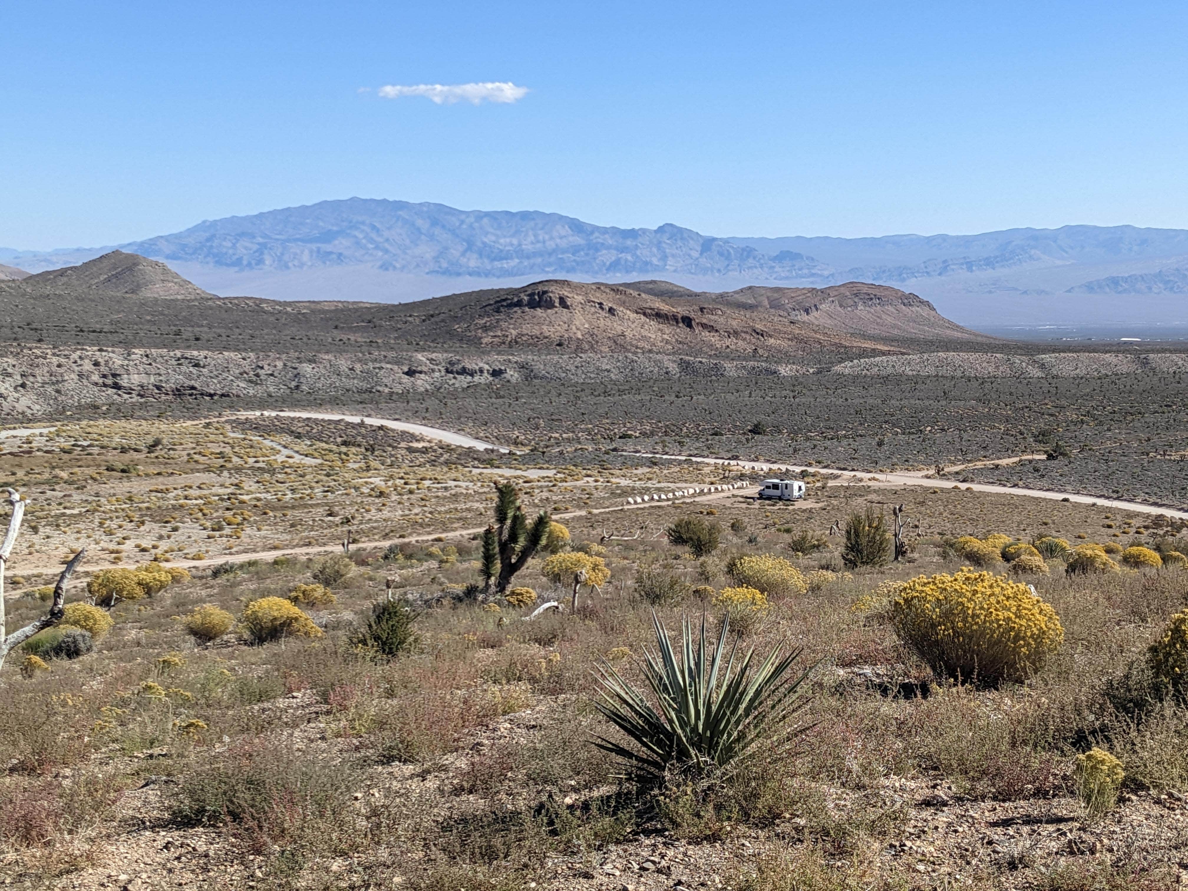 Camper submitted image from Harris Springs / Spring Mountains Dispersed - 1