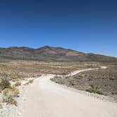 Review photo of Harris Springs / Spring Mountains Dispersed by Laura M., October 11, 2022