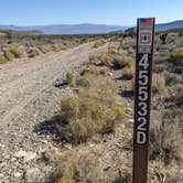 Review photo of Harris Springs / Spring Mountains Dispersed by Laura M., October 11, 2022