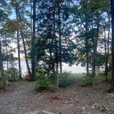 Review photo of Badin Lake Campground by Tyler E., October 11, 2022