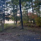 Review photo of Badin Lake Campground by Tyler E., October 11, 2022