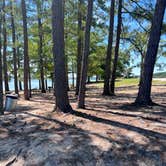 Review photo of Kerr Lake State Recreation Area Henderson Point by Tyler E., October 11, 2022