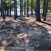 Review photo of Henderson Point — Kerr Lake State Recreation Area by Tyler E., October 11, 2022