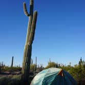 Review photo of Cactus Forest Dispersed Site by Rachel B., October 11, 2022