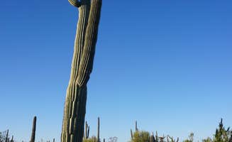 Rachel B.'s photo of a dispersed camping area at Cactus Forest Dispersed Site near Mount Lemmon, AZ