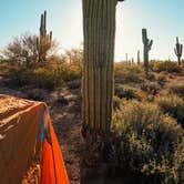 Review photo of Cactus Forest Dispersed Site by Rachel B., October 11, 2022