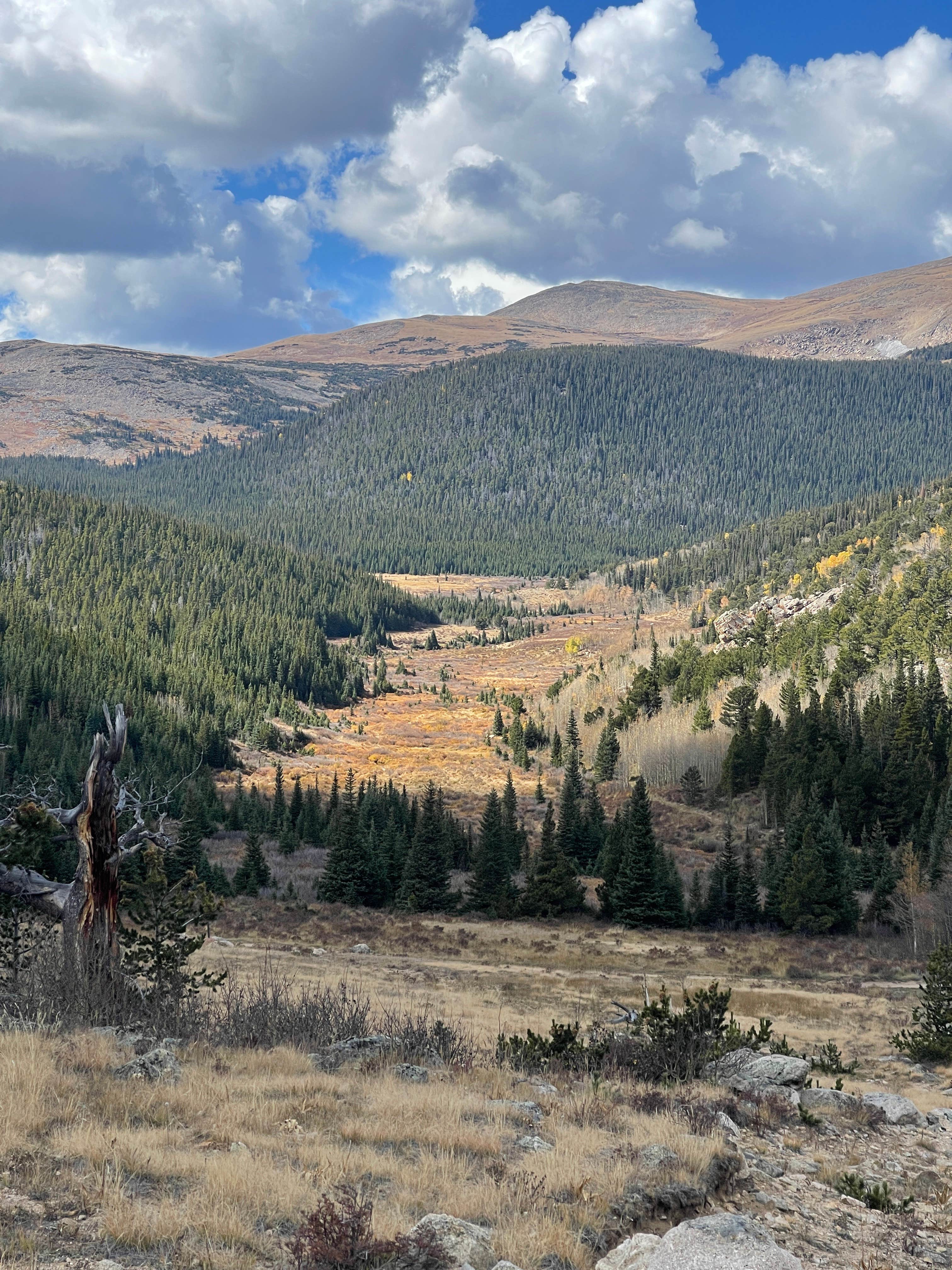 Camper-submitted photo at Five Points Dispersed Area near Rollinsville, CO