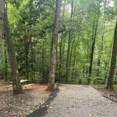 Review photo of Paris Mountain State Park Campground by Shelly S., October 11, 2022