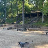 Review photo of Paris Mountain State Park Campground by Shelly S., October 11, 2022