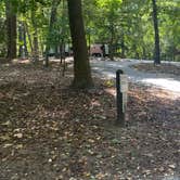 Review photo of Paris Mountain State Park Campground by Shelly S., October 11, 2022