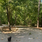 Review photo of Paris Mountain State Park Campground by Shelly S., October 11, 2022