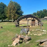 Review photo of Davy Crockett Birthplace State Park Campground by Shelly S., October 11, 2022