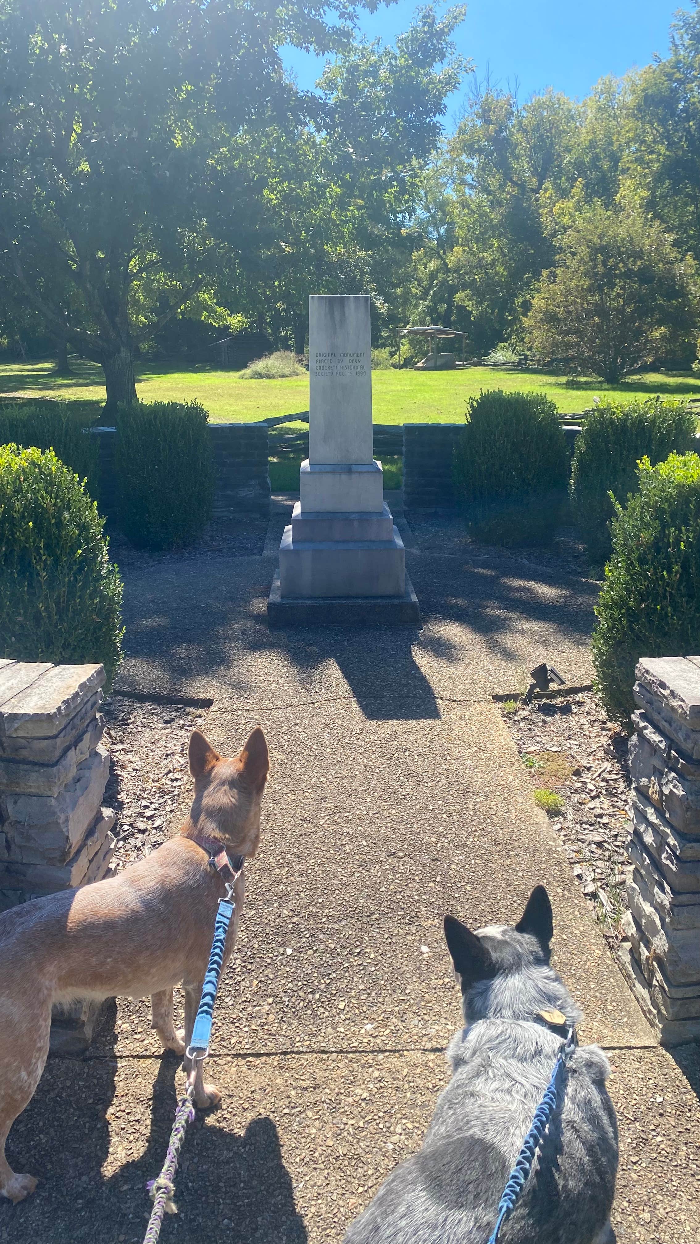 Shelly S.'s photo of camping with pets at Davy Crockett Birthplace State Park Campground near Kingsport, TN