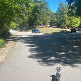 Review photo of Panther Creek State Park Campground by Shelly S., October 11, 2022