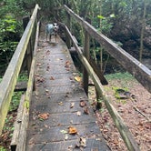 Review photo of Bandy Creek - Big South Fork National River Rec Area by Shelly S., October 11, 2022