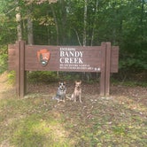 Review photo of Bandy Creek - Big South Fork National River Rec Area by Shelly S., October 11, 2022