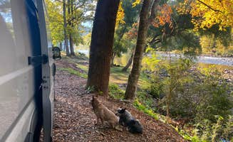 Shelly S.'s photo of camping with pets at USA Raft Adventure Resort near Milligan College, TN