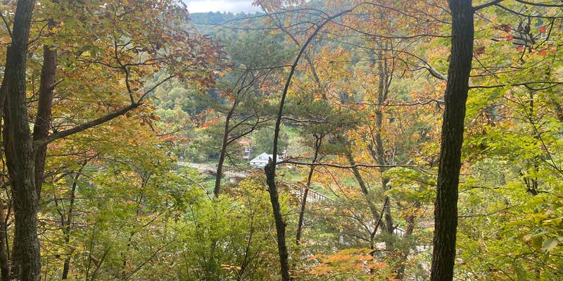 Camper submitted image from USA Raft Adventure Resort