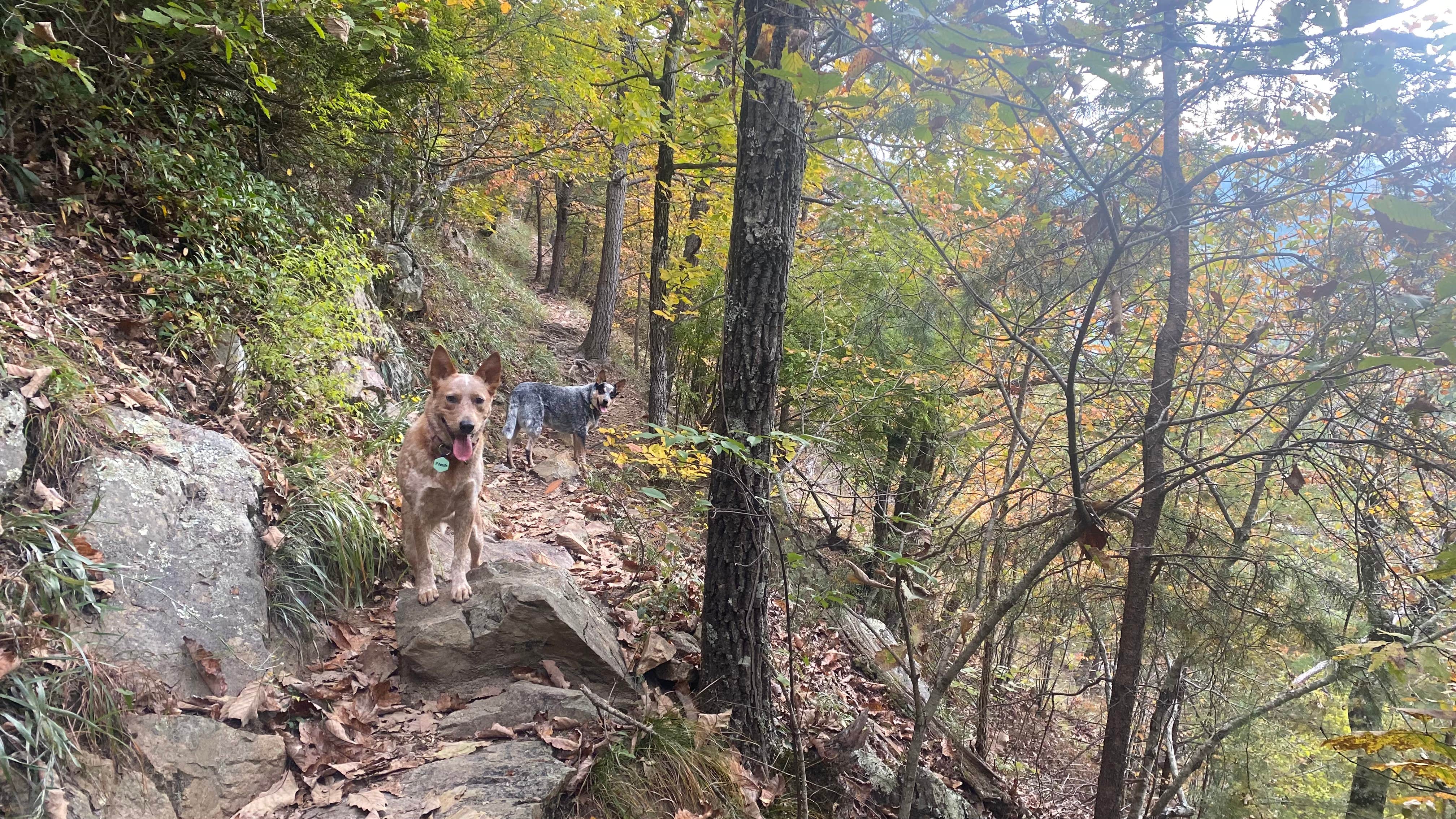 Camper-submitted photo at USA Raft Adventure Resort near Erwin, TN