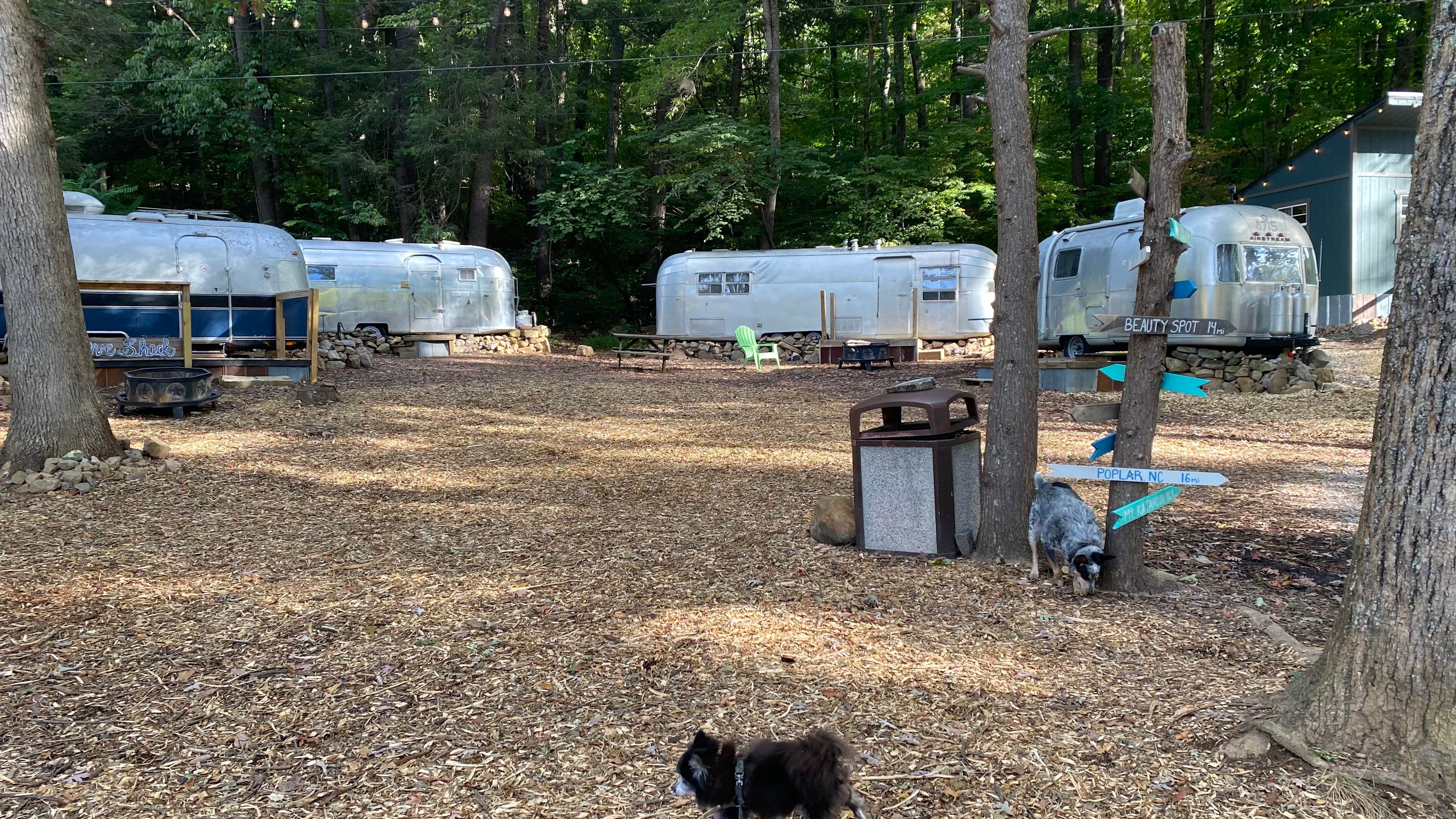 Camper-submitted photo at USA Raft Adventure Resort near Erwin, TN