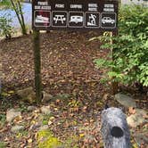 Review photo of Nolichucky Gorge Campground by Shelly S., October 11, 2022