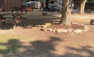 Shelly S.'s photo at Nolichucky Gorge Campground near Cherokee National Forest