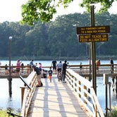Review photo of Huntsville State Park by Daniel L., October 11, 2022